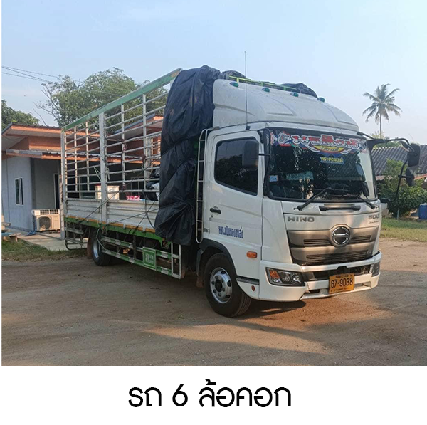 รถ 6 ล้อคอก